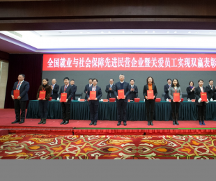 热烈祝贺合肥智联人力资源服务有限公司喜获 “全国就业与社会保障先进民营企业”荣誉称号