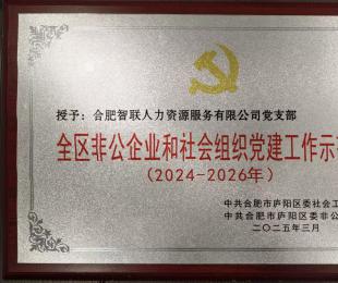 合肥智联人力资源服务有限公司党支部：以红色引擎激发企业内生动力